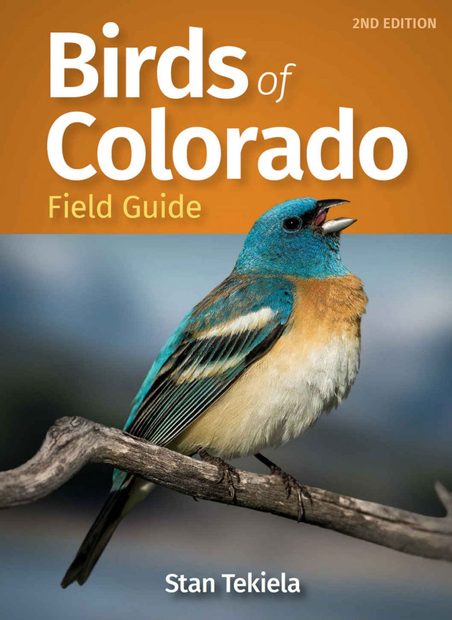 Birds of Colorado