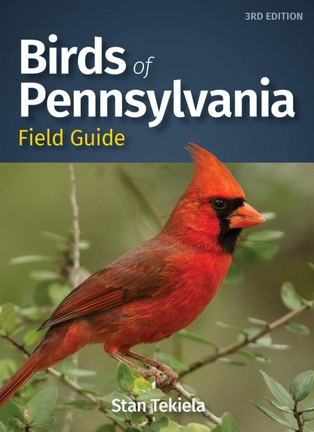 Birds of Pennsylvania