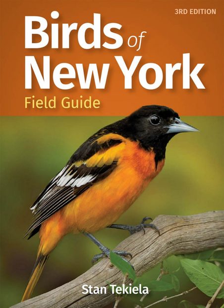 Birds of New York
