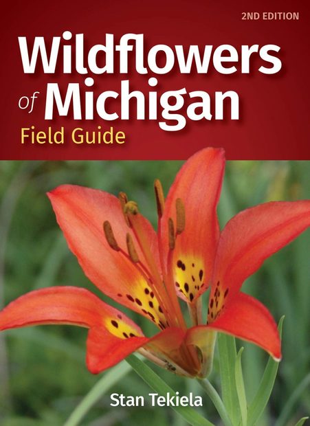 Wildflowers of Michigan