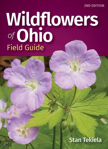 Wildflowers of Ohio