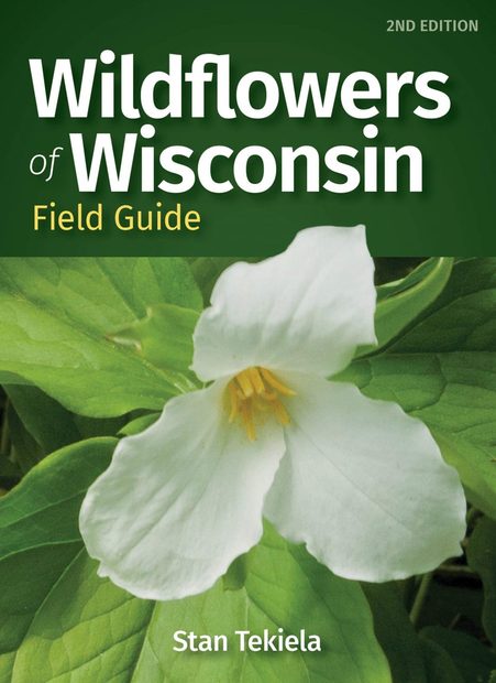 Wildflowers of Wisconsin