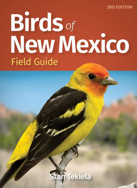 Birds of New Mexico