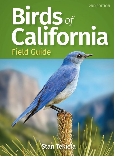 Birds of California