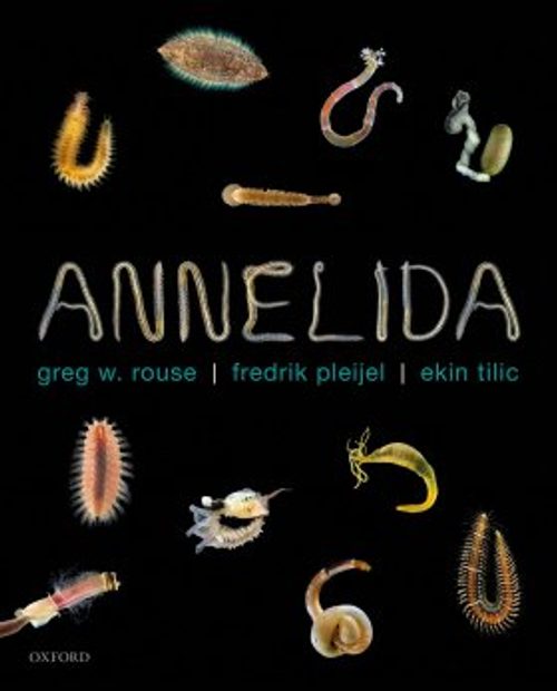 Annelida
