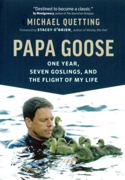Papa Goose