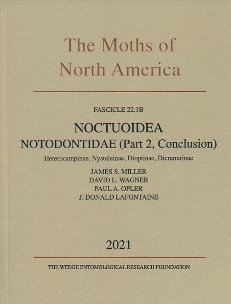 The Moths of America North of Mexico, Fascicle 22.1B: Notodontidae (Part 2, Conclusion): Heterocampinae, Nystaleinae, Dioptinae, Dicranurinae