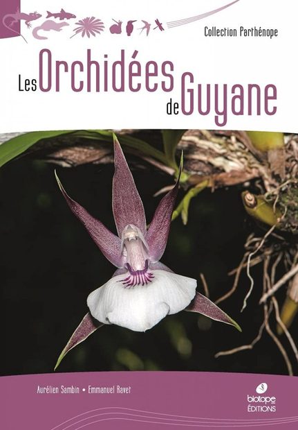Les Orchidées de Guyane [The Orchids of Guyana]