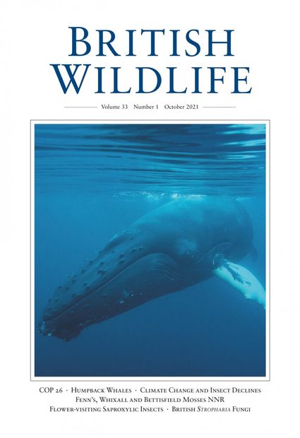 British Wildlife 33.1 October 2021