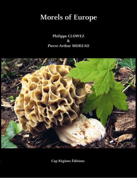 Morels of Europe
