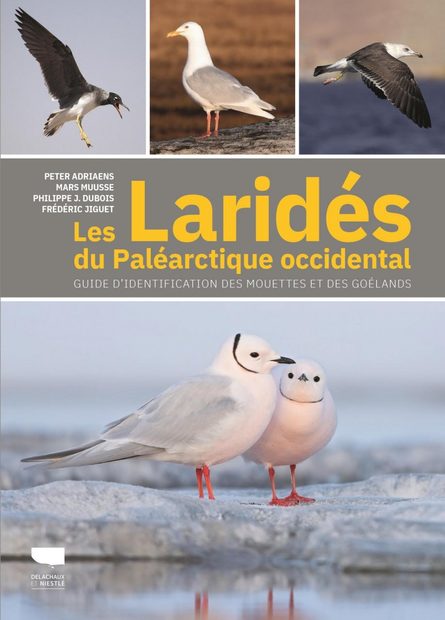 Les Laridés du Paléarctique Occidental: Guide d'Identification des Mouettes et des Goélands [Gulls of Europe, North Africa, and the Middle East: An Identification Guide]