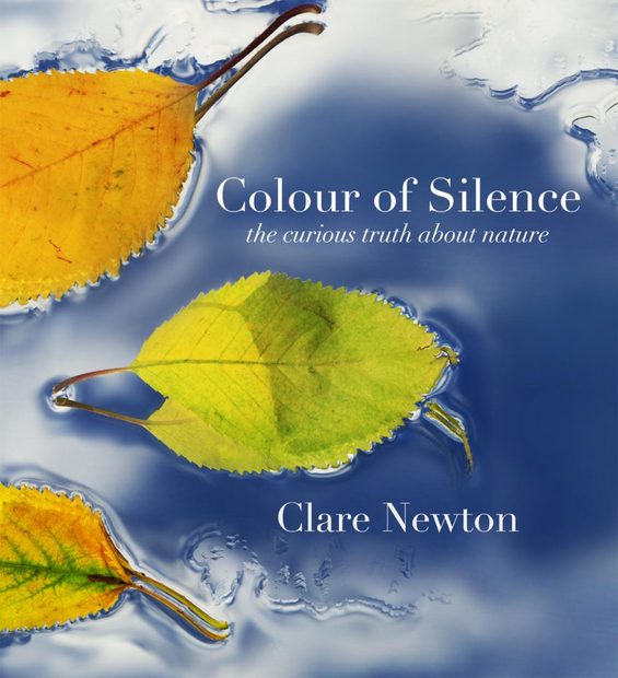 Colour of Silence