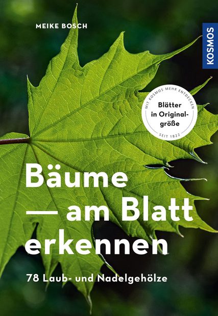 Bäume am Blatt Erkennen: 78 Laub- und Nadelgehölze [Recognizing Trees by the Leaf: 78 Deciduous and Coniferous Trees]