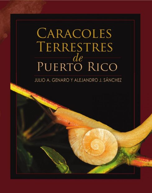 Caracoles Terrestres de Puerto Rico [Puerto Rico Land Snails]