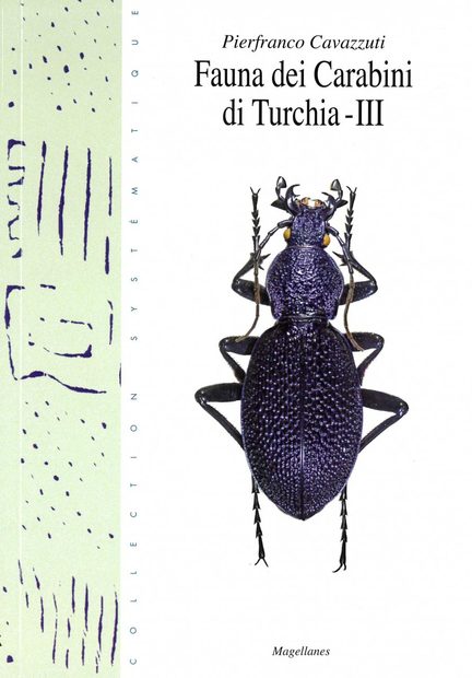 Fauna dei Carabini di Turchia - III [The Carabini Fauna of Turkey, Part 3]