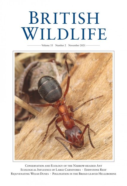 British Wildlife 33.2 November 2021