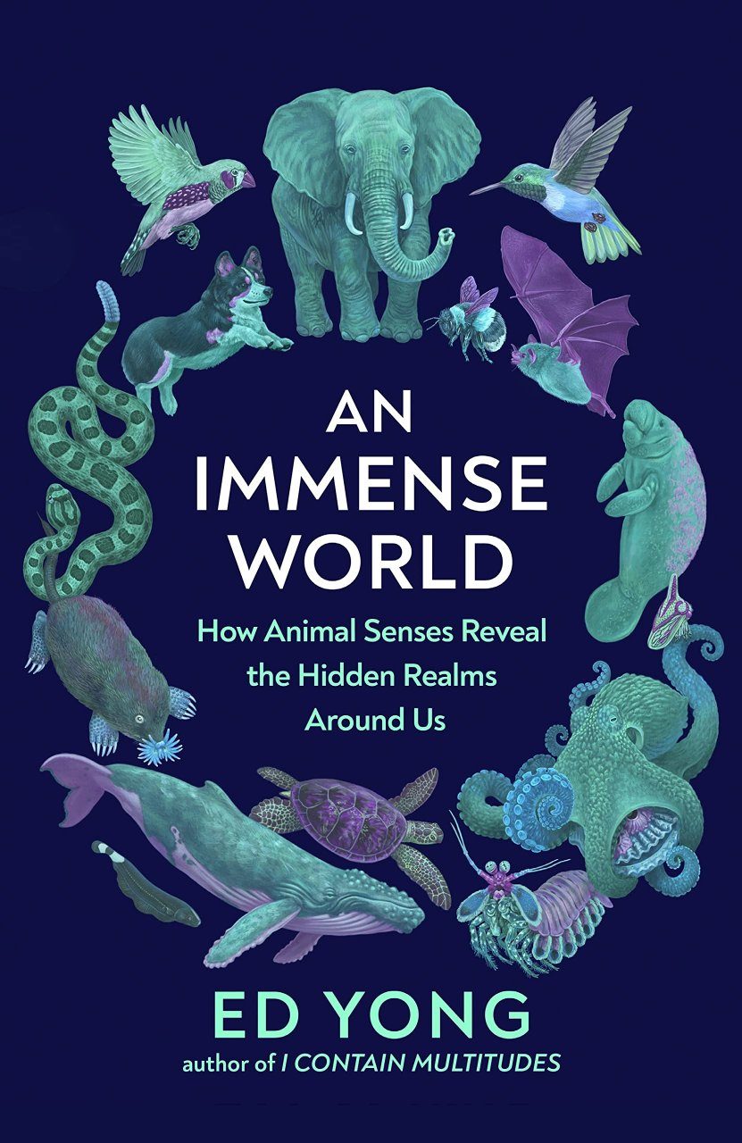 An Immense World: How Animal Senses Reveal the Hidden Realms Around Us |  NHBS Good Reads
