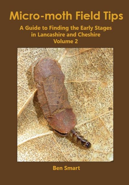 Micro-Moth Field Tips, Volume 2