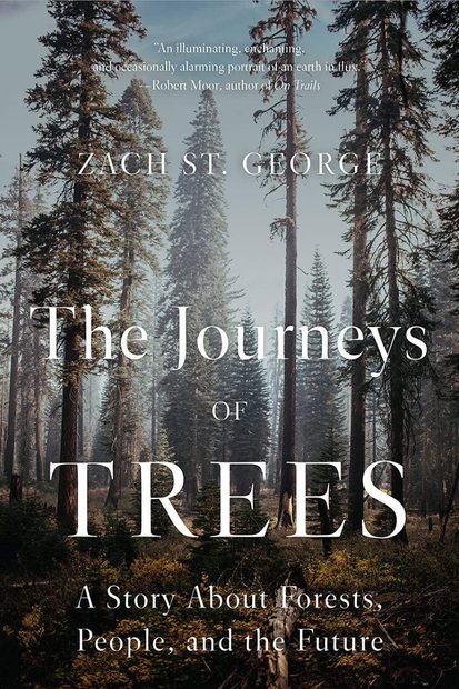 The Journeys of Trees