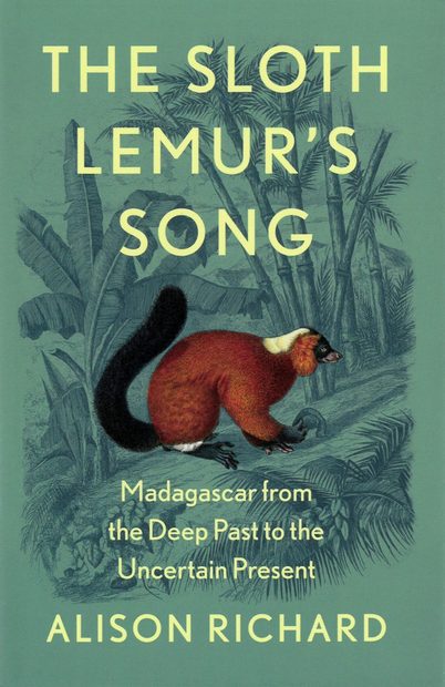 The Sloth Lemur's Song