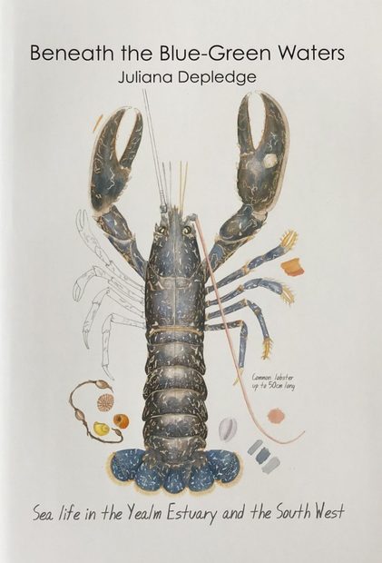 Beneath the Blue-Green Waters