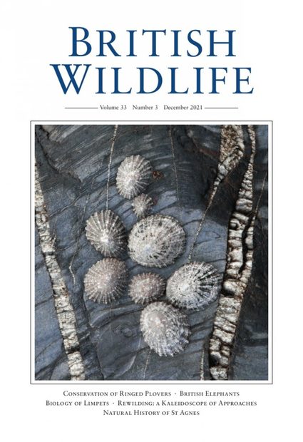 British Wildlife 33.3 December 2021