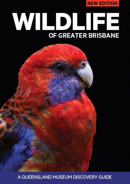 Wildlife of Greater Brisbane