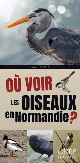 Où Voir les Oiseaux en Normandie? [Where to Watch Birds in Normandy]