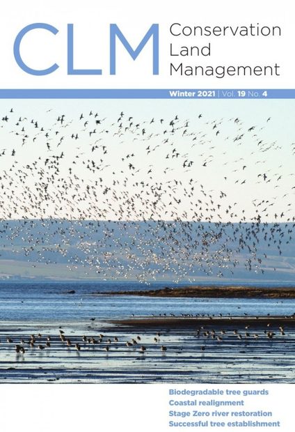 CLM 19.4 Winter 2021