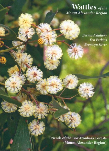 Wattles of the Mount Alexander Region