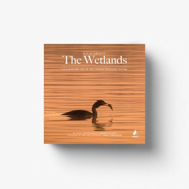 Wild about the Wetlands