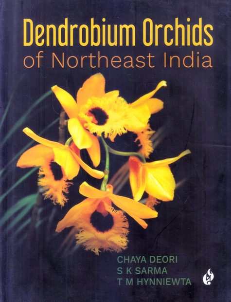 Dendrobium Orchids of Northeast India