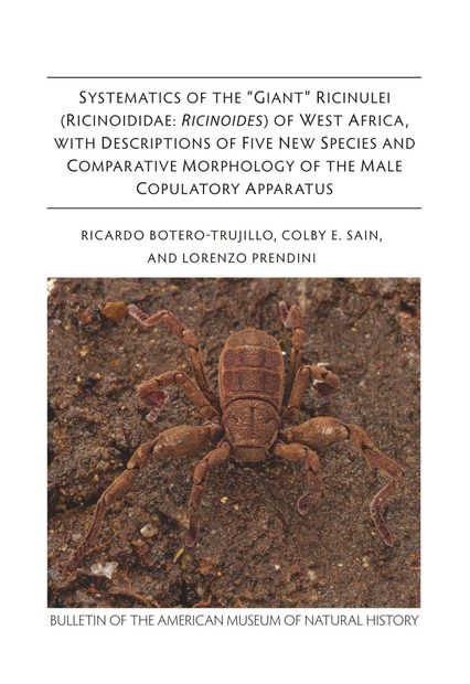 Systematics of the "Giant" Ricinulei (Ricinoididae: Ricinoides) of West Africa