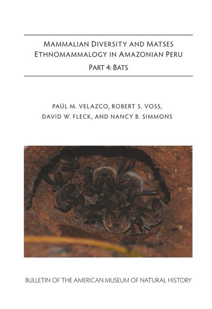 Mammalian Diversity and Matses Ethnomammalogy in Amazonian Peru, Part 4: Bats