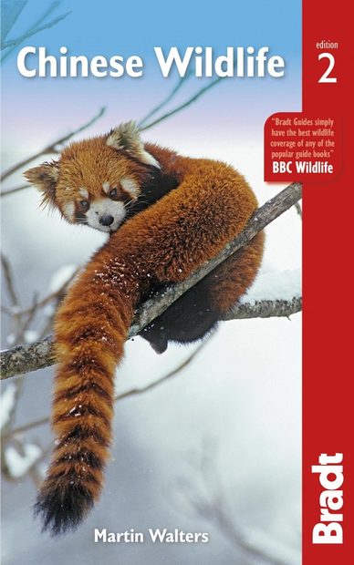 Bradt Wildlife Guide: Chinese Wildlife