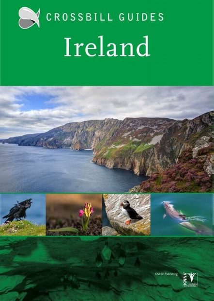 Crossbill Guide: Ireland