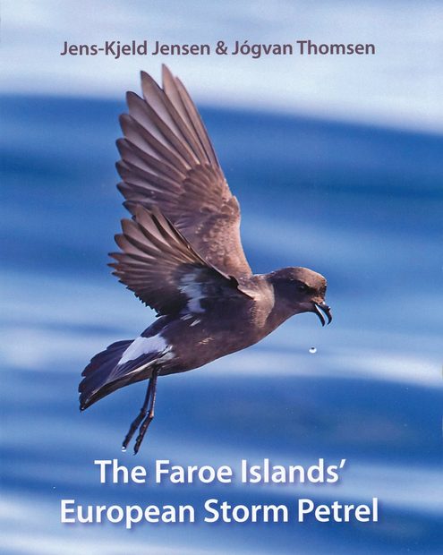 The Faroe Islands’ European Storm Petrel