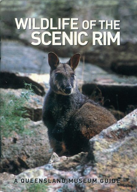 Wildlife of the Scenic Rim