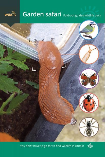 FSC Garden Safari Wildlife Pack