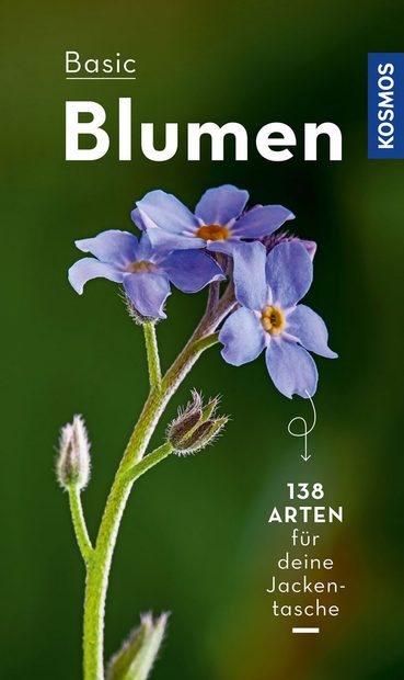 Basic Blumen [Basic Flowers]