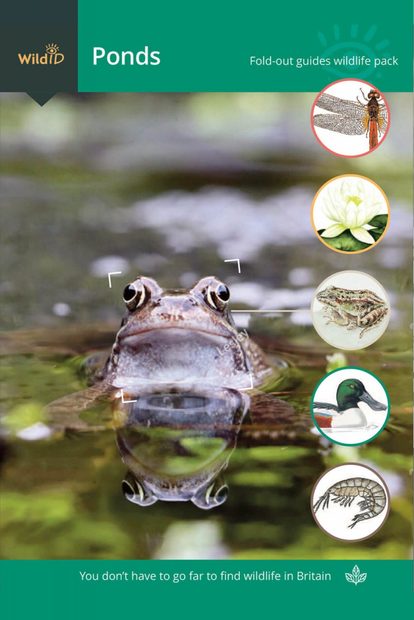 FSC Wildlife Pack: Ponds | NHBS Field Guides & Natural History