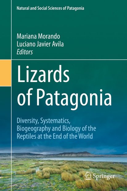Lizards of Patagonia