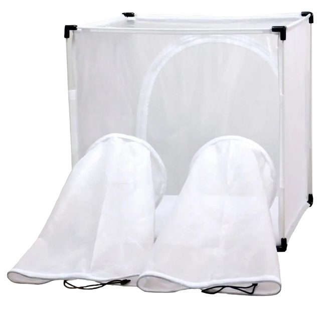 BugDorm-4D Insect Handling Cage (47.5 x 47.5 x 47.5cm) | NHBS Wildlife ...