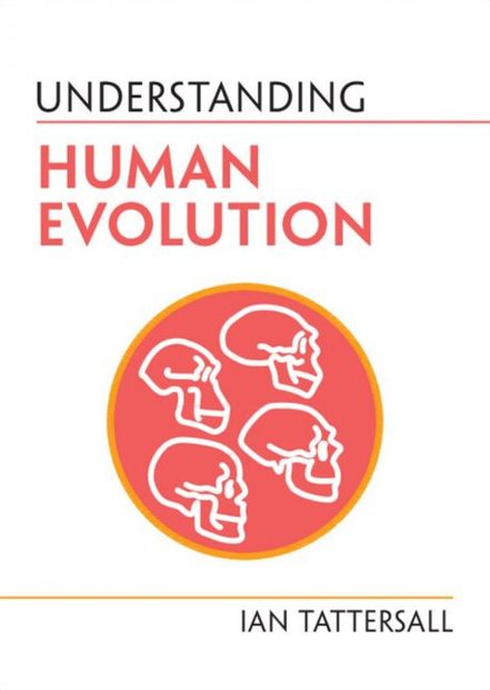 Understanding Human Evolution