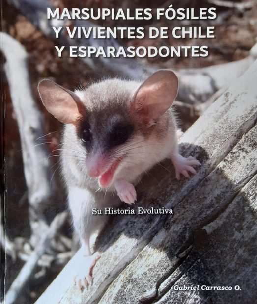 Marsupiales Fósiles y Vivientes de Chile y Esparasodontes: Su Historia Evolutiva [Fossil and Living Marsupials and Sparassodonta from Chile: Their Evolutionary History]