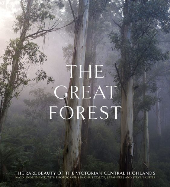 The Great Forest