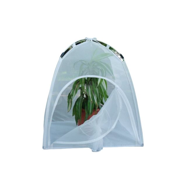 BugDorm-2 Small Insect Rearing Tent (60 x 60 x 60cm)