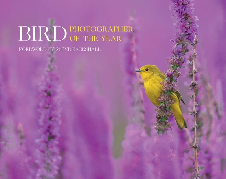 Bird Photographer of the Year, Collection 7