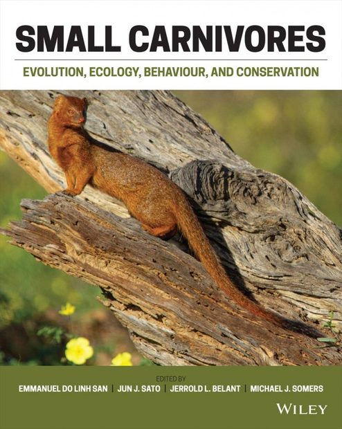 Small Carnivores: Evolution, Ecology, Behaviour and Conservation | NHBS ...