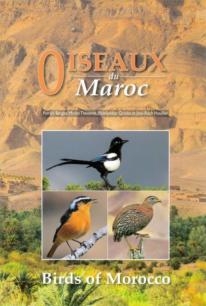 Birds of Morocco / Oiseaux du Maroc